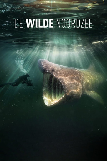 Movie poster for North Sea – Nature Untamed (2024)