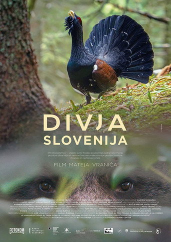 Movie poster for Wild Slovenia (2021)