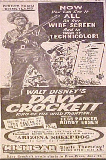 Movie poster for Arizona Sheepdog (1955)