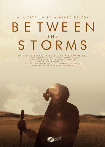 Between the Storms poster