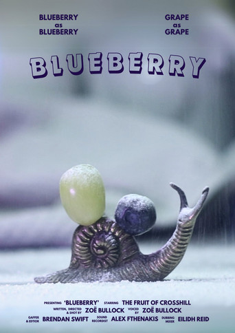 Movie poster for Blueberry