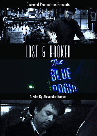 Movie poster for Lost & Broken (2013)