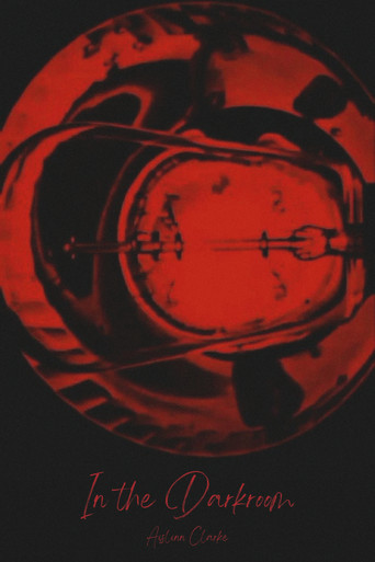 In the Darkroom poster