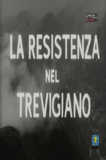 Movie poster for La resistenza nel Trevigiano (1968)