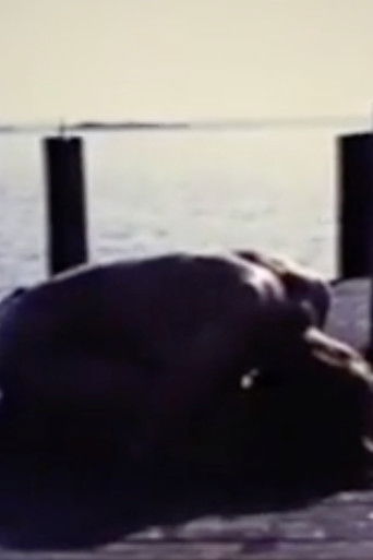 Homage To Edvard Munch And All My Dead Children poster