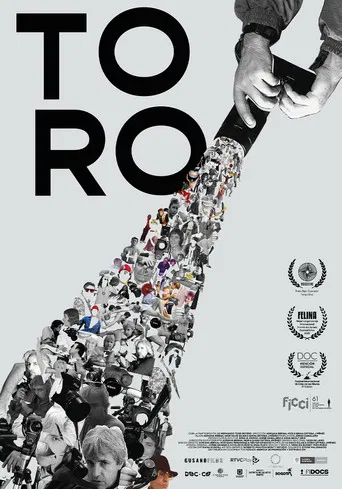 Toro poster
