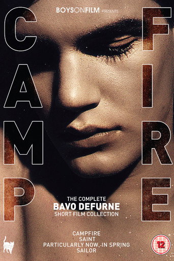 Movie poster for Boys On Film Presents: Campfire (2017)