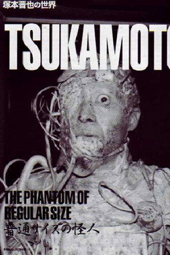 Movie poster for The Phantom of Regular Size (1986)