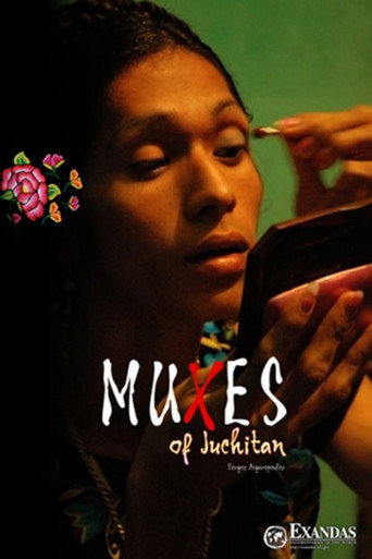 Movie poster for Muxes of Juchitán (2008)
