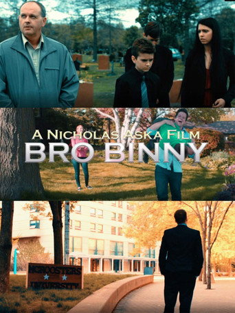 Movie poster for Bro Binny (2014)