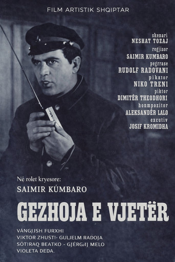 Movie poster for The Old Shell (1980)