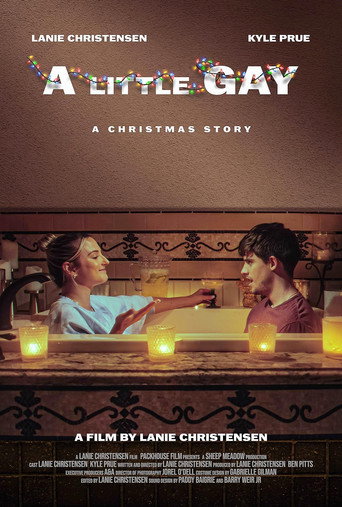 Movie poster for A Little Gay (2023)