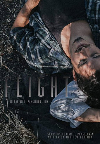 Movie poster for Flight (2017)