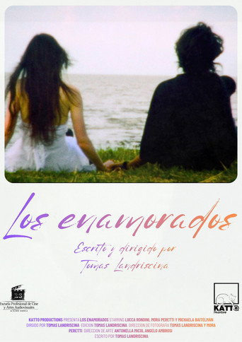 Movie poster for The lovers (2026)