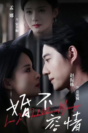 婚不容情 poster