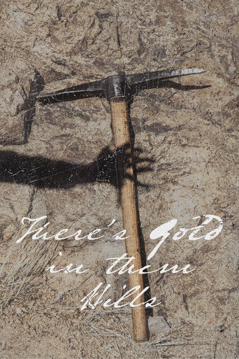 There's Gold In Them Hills poster