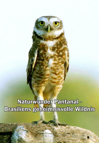 Movie poster for Naturwunder Pantanal - Brasiliens geheimnisvolle Wildnis (2021)