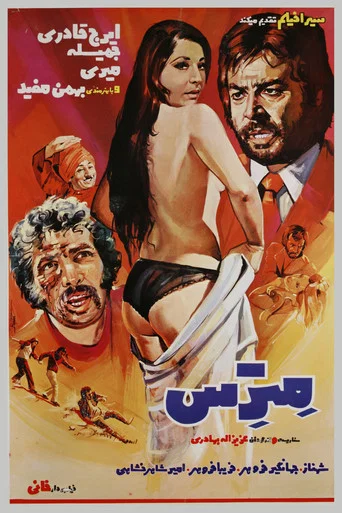 Movie poster for The Mistress (1973)