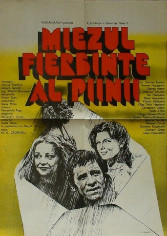 Movie poster for Miezul fierbinte al painii (1983)