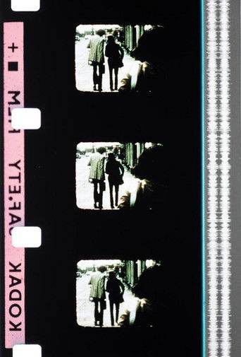 The Great Ice-Cream Robbery poster