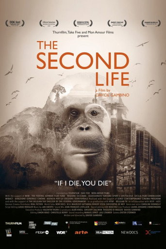 The Second Life poster