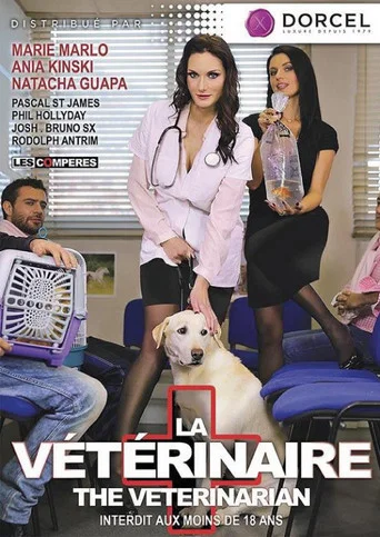 Movie poster for La Vétérinaire (2016)