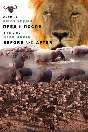 Before and After poster