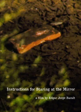 Movie poster for Instructions for Staring at the Mirror (2017)