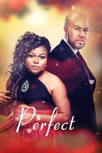 Movie poster for Perfect (2017)