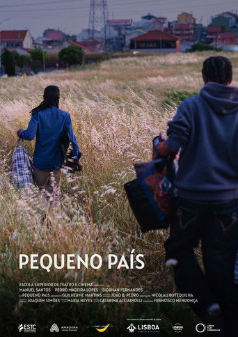 Movie poster for Pequeno País