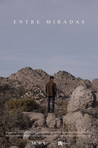 Entre miradas poster