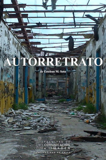 Movie poster for Selfportrait (2024)