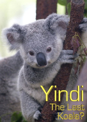 Movie poster for Grainger's World: Yindi: The Last Koala? (2007)