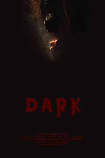 Movie poster for Dark (2023)
