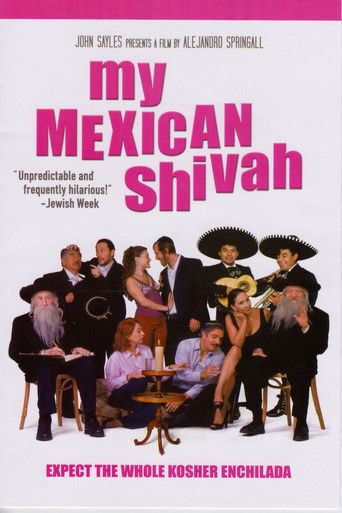 My Mexican Shivah poster