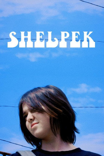 Movie poster for Shelpek (2024)