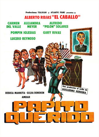 Movie poster for Papito querido (1991)