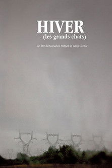 Winter (The Large Cats) poster