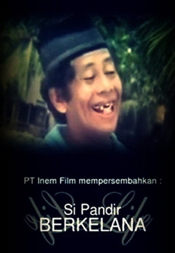 Movie poster for Si Pandir Berkelana (1993)