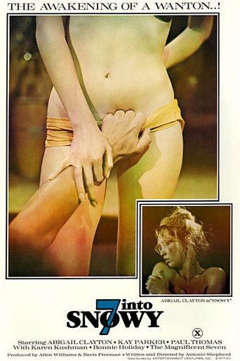 Movie poster for 7 Into Snowy (1977)