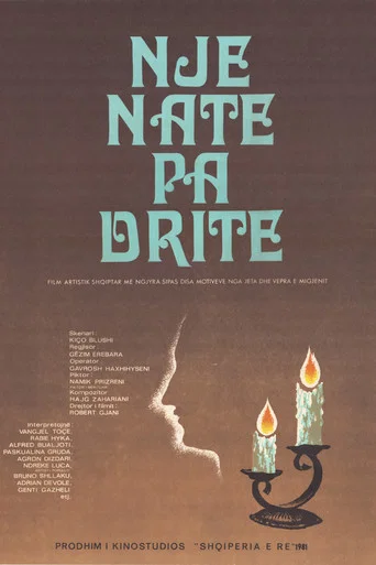 Movie poster for A Night without Light (1981)