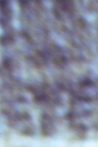 Movie poster for Gioconda/Film (1999)