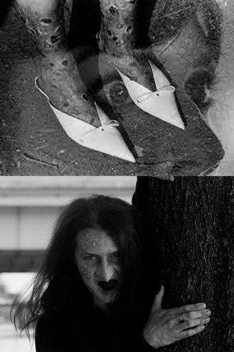 Movie poster for The Pointy Slippers (2023)
