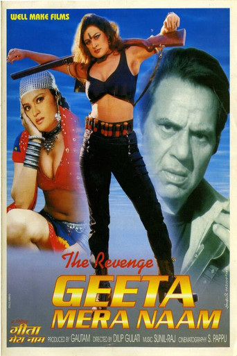 Movie poster for The Revenge: Geeta Mera Naam