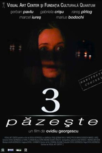 3 păzește poster
