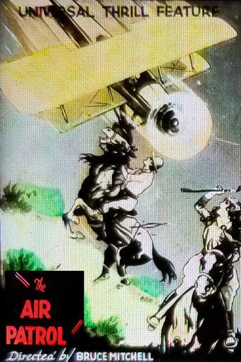 Movie poster for The Air Patrol (1928)