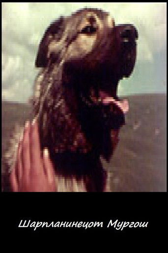 Murgosh - The Sharplaninec poster