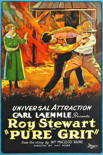 Movie poster for Pure Grit (1923)