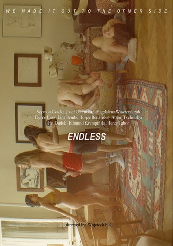 Endless poster