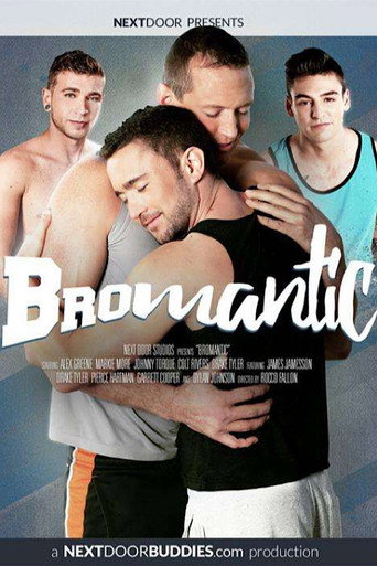 Movie poster for Bromantic (2016)